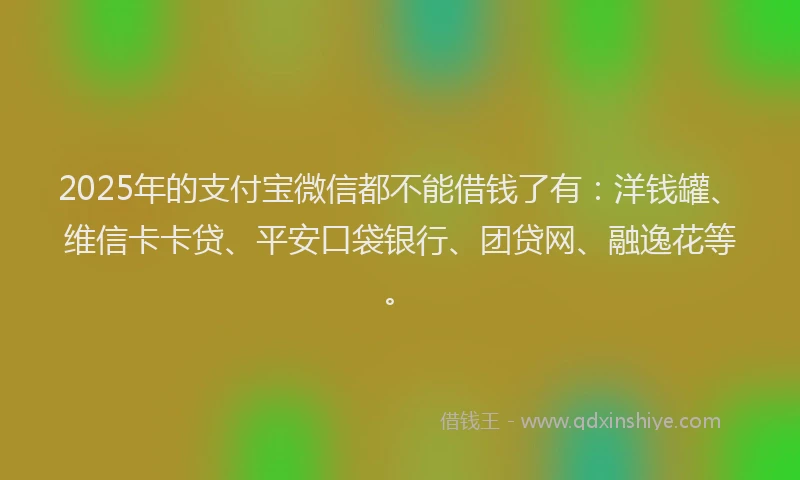 2025年的支付宝微信都不能借钱了有：洋钱罐、维信卡卡贷、平安口袋银行、团贷网、融逸花等。