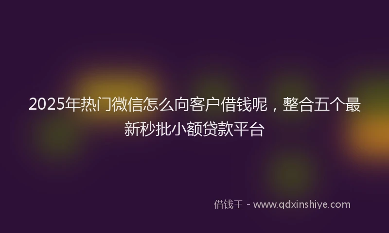 2025年热门微信怎么向客户借钱呢，整合五个最新秒批小额贷款平台