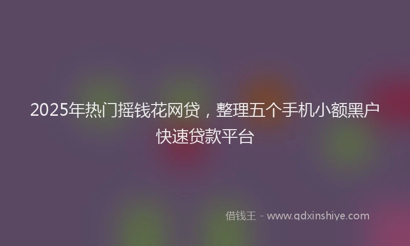 2025年热门摇钱花网贷，整理五个手机小额黑户快速贷款平台