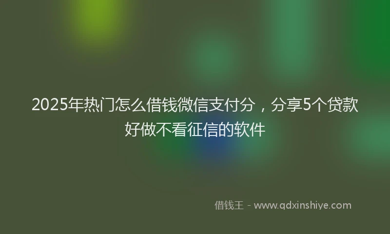 2025年热门怎么借钱微信支付分，分享5个贷款好做不看征信的软件