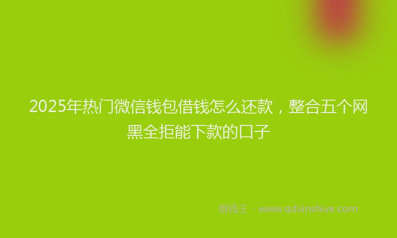 2025年热门微信钱包借钱怎么还款，整合五个网黑全拒能下款的口子