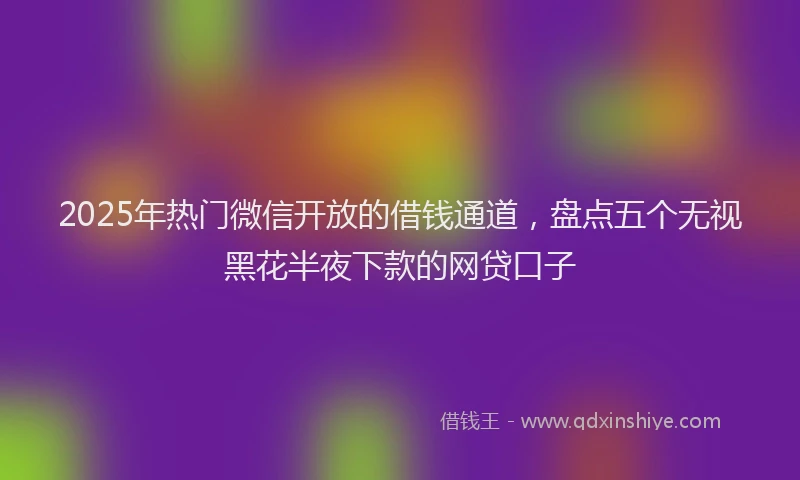 2025年热门微信开放的借钱通道，盘点五个无视黑花半夜下款的网贷口子