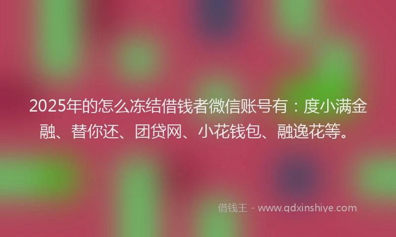 2025年的怎么冻结借钱者微信账号有：度小满金融、替你还、团贷网、小花钱包、融逸花等。