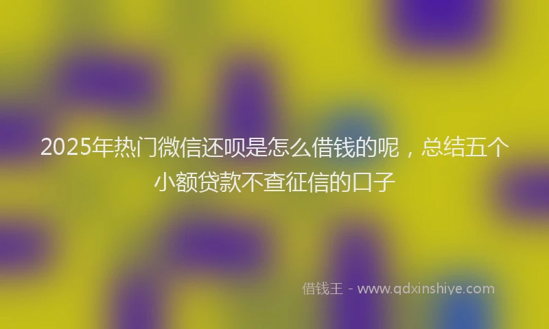 2025年热门微信还呗是怎么借钱的呢，总结五个小额贷款不查征信的口子
