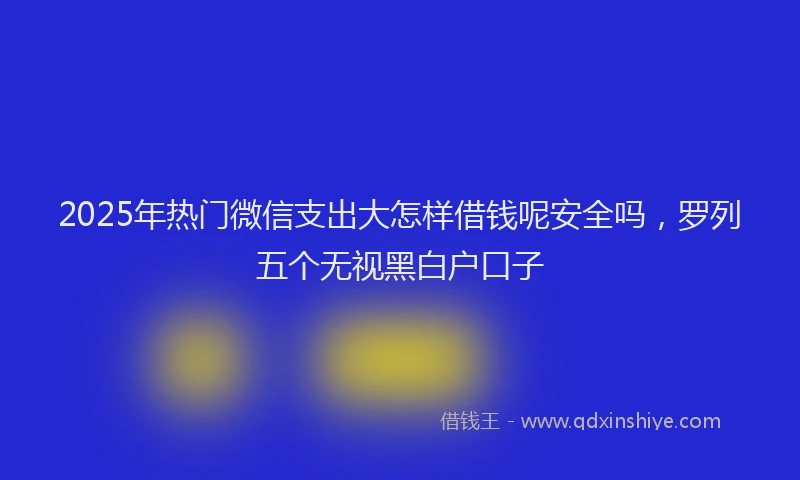 2025年热门微信支出大怎样借钱呢安全吗，罗列五个无视黑白户口子