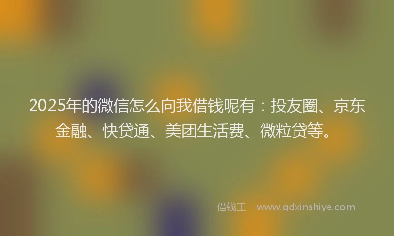 2025年的微信怎么向我借钱呢有：投友圈、京东金融、快贷通、美团生活费、微粒贷等。