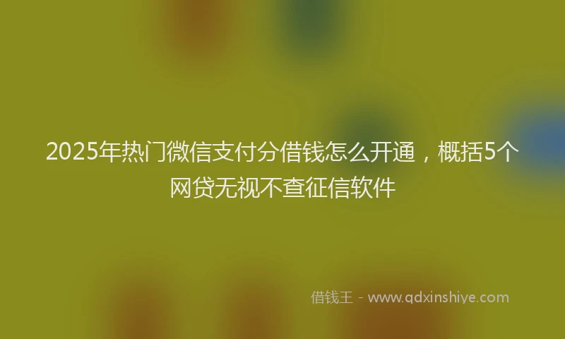 2025年热门微信支付分借钱怎么开通，概括5个网贷无视不查征信软件