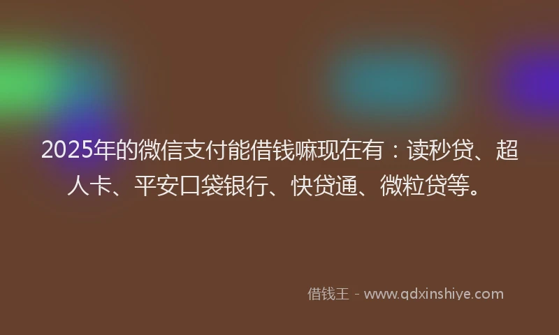 2025年的微信支付能借钱嘛现在有：读秒贷、超人卡、平安口袋银行、快贷通、微粒贷等。