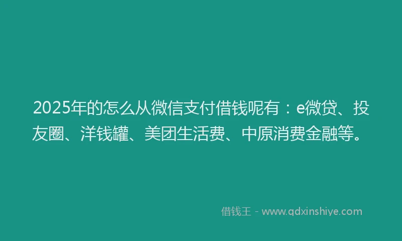 2025年的怎么从微信支付借钱呢有：e微贷、投友圈、洋钱罐、美团生活费、中原消费金融等。