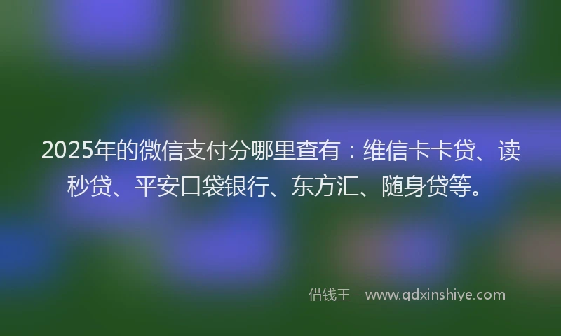 2025年的微信支付分哪里查有：维信卡卡贷、读秒贷、平安口袋银行、东方汇、随身贷等。