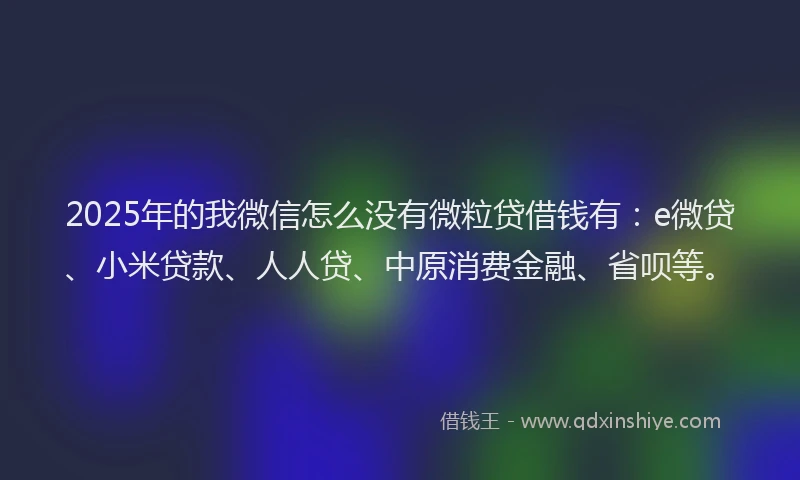 2025年的我微信怎么没有微粒贷借钱有：e微贷、小米贷款、人人贷、中原消费金融、省呗等。