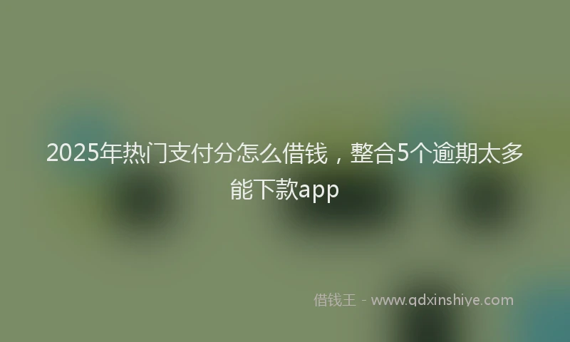 2025年热门支付分怎么借钱，整合5个逾期太多能下款app