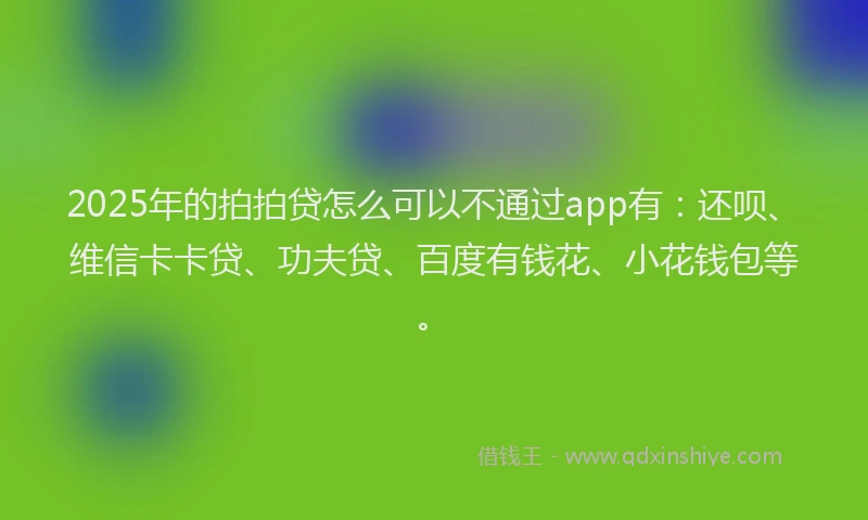 2025年的拍拍贷怎么可以不通过app有：还呗、维信卡卡贷、功夫贷、百度有钱花、小花钱包等。
