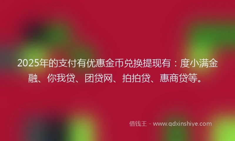 2025年的支付有优惠金币兑换提现有：度小满金融、你我贷、团贷网、拍拍贷、惠商贷等。