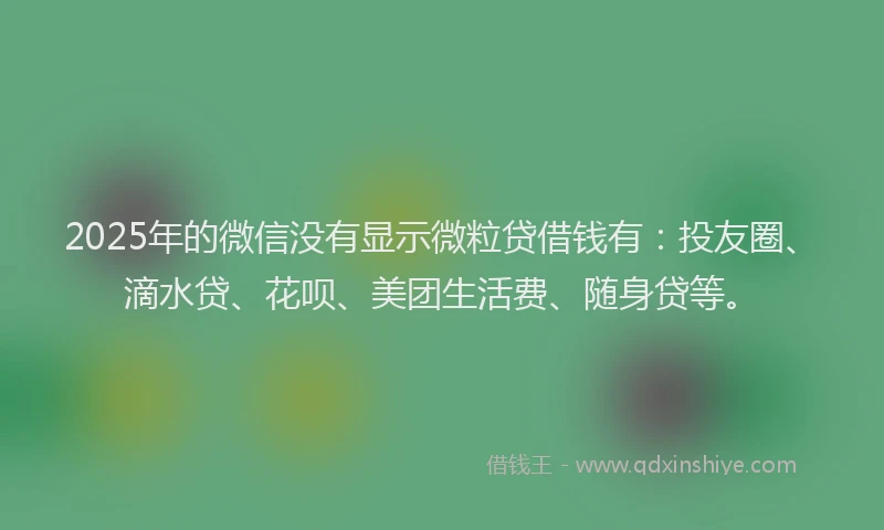 2025年的微信没有显示微粒贷借钱有：投友圈、滴水贷、花呗、美团生活费、随身贷等。