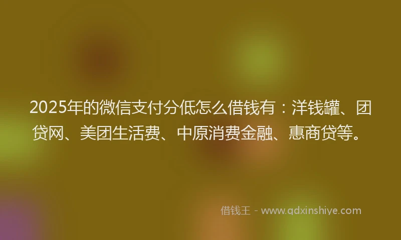 2025年的微信支付分低怎么借钱有：洋钱罐、团贷网、美团生活费、中原消费金融、惠商贷等。
