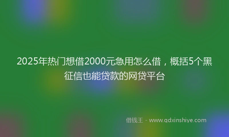 2025年热门想借2000元急用怎么借，概括5个黑征信也能贷款的网贷平台