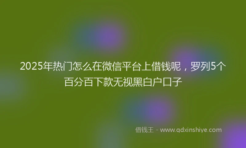 2025年热门怎么在微信平台上借钱呢，罗列5个百分百下款无视黑白户口子