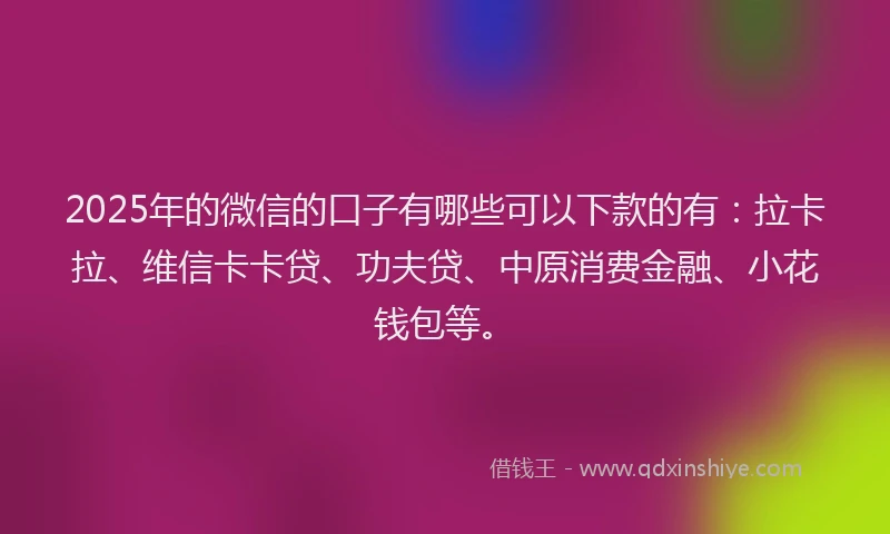 2025年的微信的口子有哪些可以下款的有：拉卡拉、维信卡卡贷、功夫贷、中原消费金融、小花钱包等。