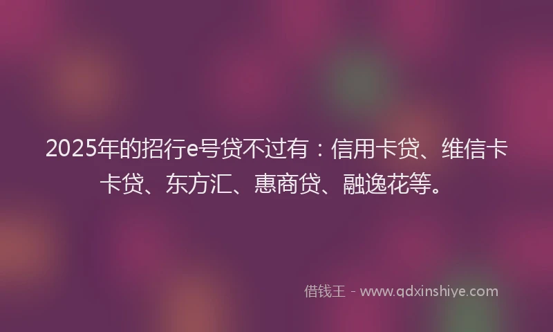 2025年的招行e号贷不过有：信用卡贷、维信卡卡贷、东方汇、惠商贷、融逸花等。