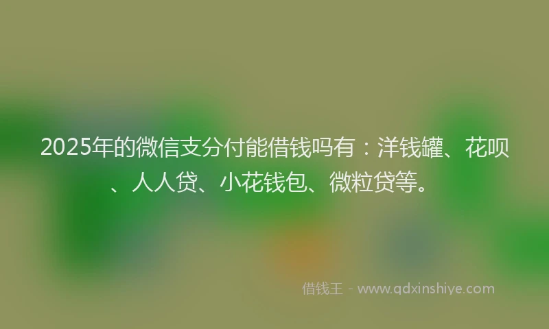 2025年的微信支分付能借钱吗有：洋钱罐、花呗、人人贷、小花钱包、微粒贷等。