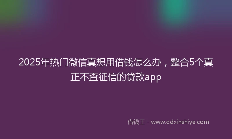 2025年热门微信真想用借钱怎么办，整合5个真正不查征信的贷款app