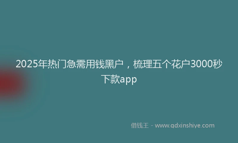 2025年热门急需用钱黑户，梳理五个花户3000秒下款app