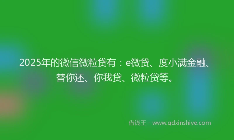 2025年的微信微粒贷有：e微贷、度小满金融、替你还、你我贷、微粒贷等。