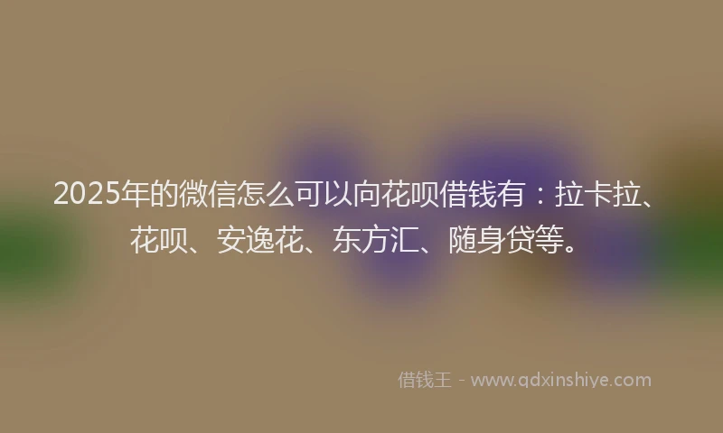2025年的微信怎么可以向花呗借钱有：拉卡拉、花呗、安逸花、东方汇、随身贷等。