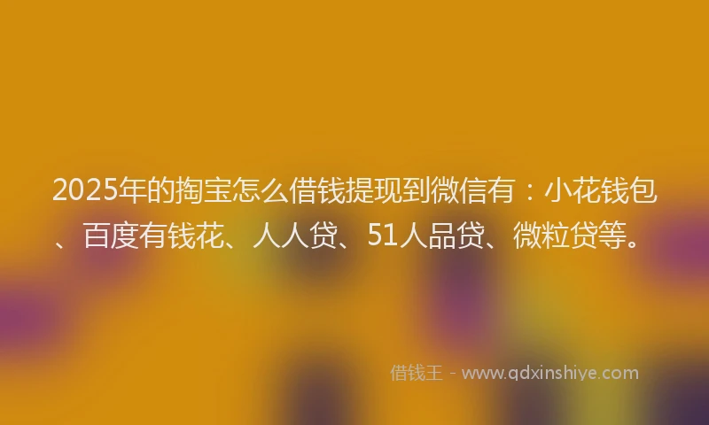 2025年的掏宝怎么借钱提现到微信有：小花钱包、百度有钱花、人人贷、51人品贷、微粒贷等。