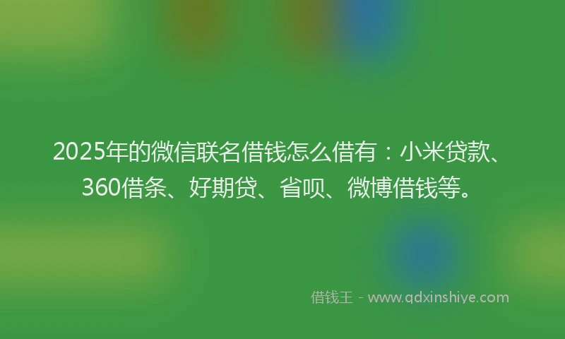 2025年的微信联名借钱怎么借有：小米贷款、360借条、好期贷、省呗、微博借钱等。