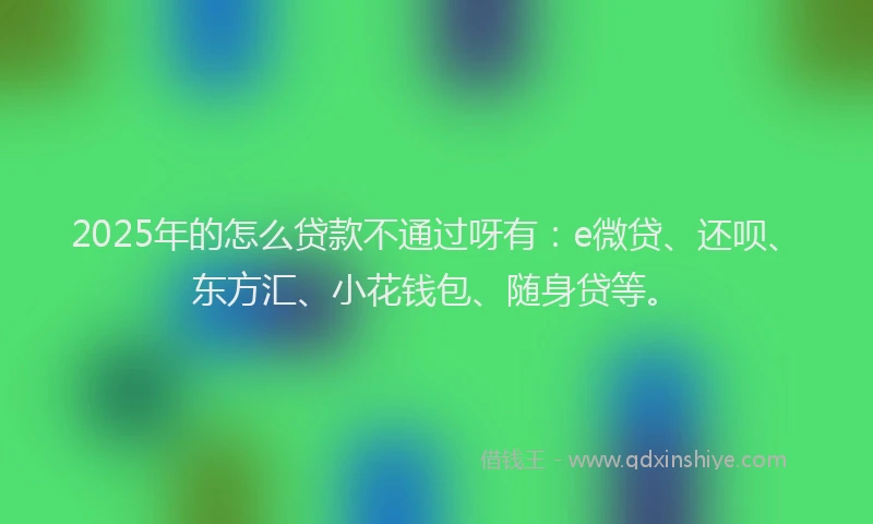 2025年的怎么贷款不通过呀有：e微贷、还呗、东方汇、小花钱包、随身贷等。