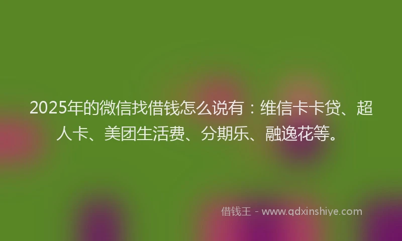 2025年的微信找借钱怎么说有：维信卡卡贷、超人卡、美团生活费、分期乐、融逸花等。