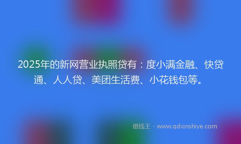 2025年的新网营业执照贷有：度小满金融、快贷通、人人贷、美团生活费、小花钱包等。
