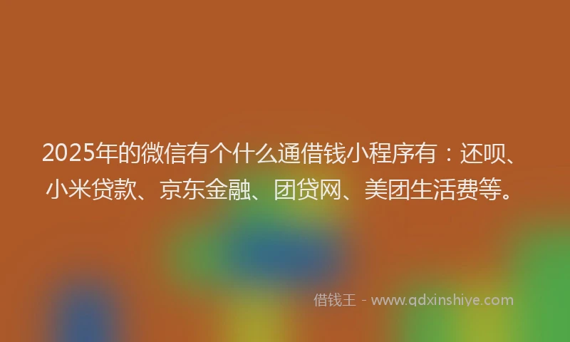 2025年的微信有个什么通借钱小程序有：还呗、小米贷款、京东金融、团贷网、美团生活费等。