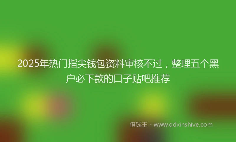 2025年热门指尖钱包资料审核不过，整理五个黑户必下款的口子贴吧推荐