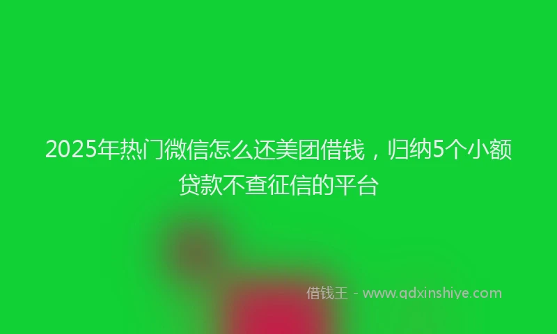 2025年热门微信怎么还美团借钱，归纳5个小额贷款不查征信的平台