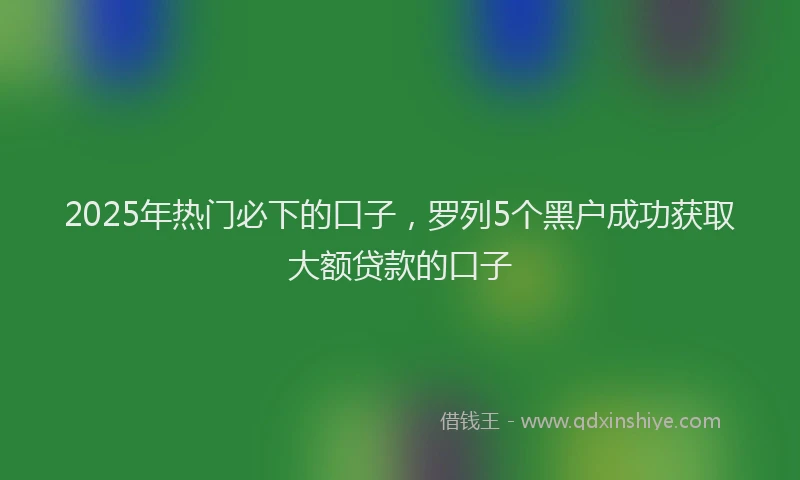 2025年热门必下的口子，罗列5个黑户成功获取大额贷款的口子