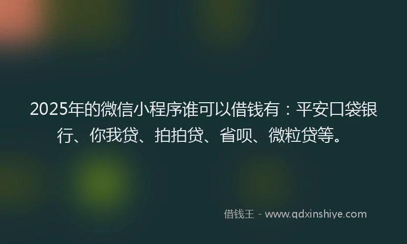 2025年的微信小程序谁可以借钱有：平安口袋银行、你我贷、拍拍贷、省呗、微粒贷等。
