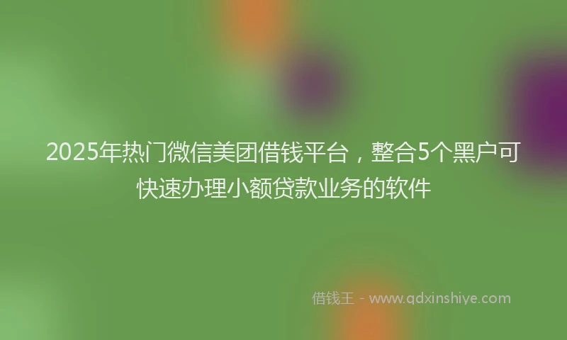 2025年热门微信美团借钱平台，整合5个黑户可快速办理小额贷款业务的软件