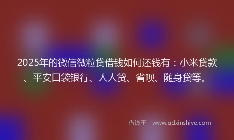 2025年的微信微粒贷借钱如何还钱有：小米贷款、平安口袋银行、人人贷、省呗、随身贷等。