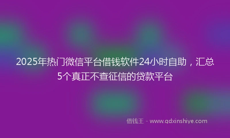 2025年热门微信平台借钱软件24小时自助，汇总5个真正不查征信的贷款平台