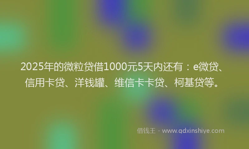 2025年的微粒贷借1000元5天内还有：e微贷、信用卡贷、洋钱罐、维信卡卡贷、柯基贷等。