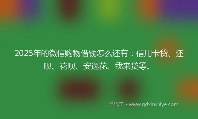2025年的微信购物借钱怎么还有：信用卡贷、还呗、花呗、安逸花、我来贷等。