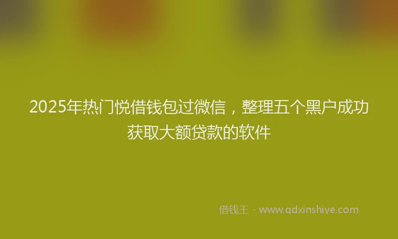 2025年热门悦借钱包过微信，整理五个黑户成功获取大额贷款的软件
