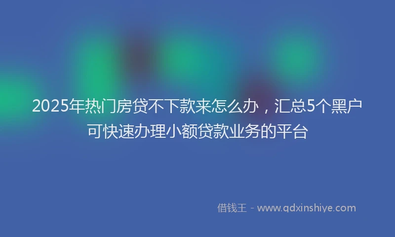 2025年热门房贷不下款来怎么办，汇总5个黑户可快速办理小额贷款业务的平台
