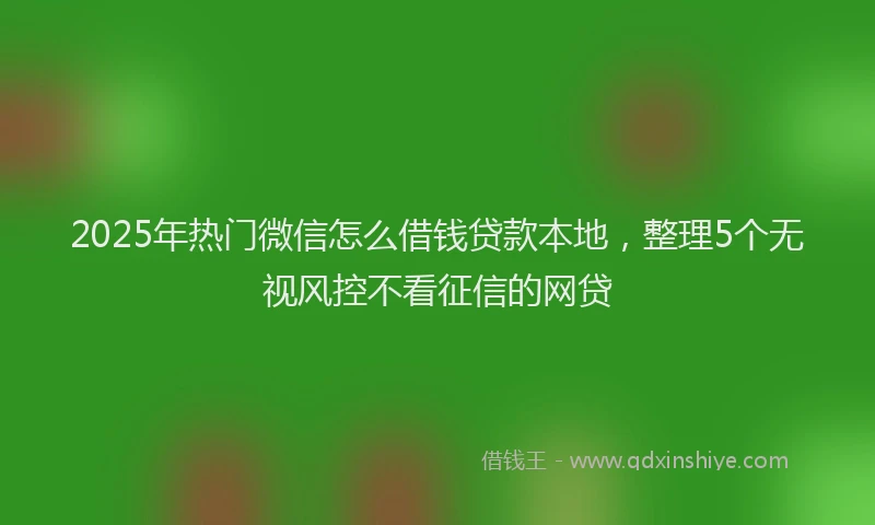 2025年热门微信怎么借钱贷款本地，整理5个无视风控不看征信的网贷