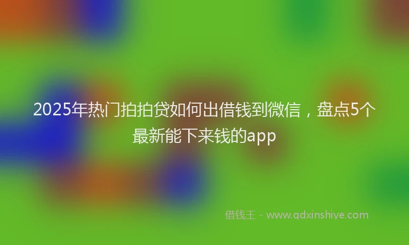 2025年热门拍拍贷如何出借钱到微信，盘点5个最新能下来钱的app