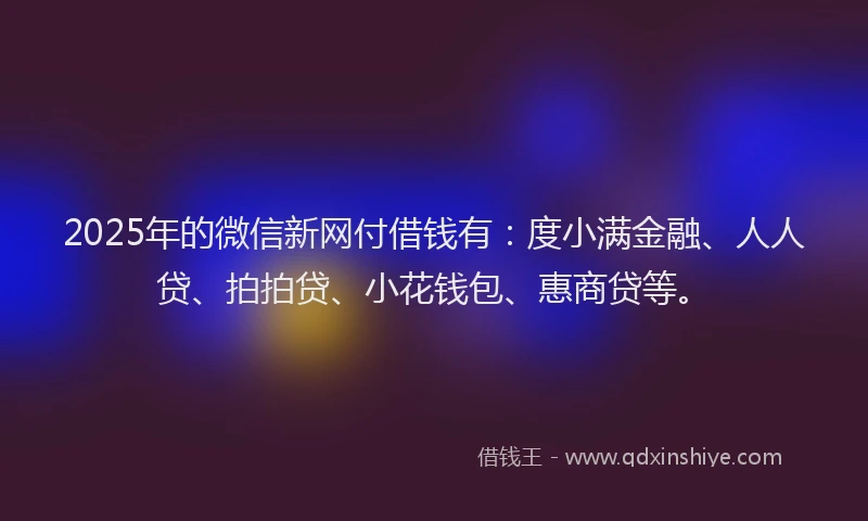 2025年的微信新网付借钱有：度小满金融、人人贷、拍拍贷、小花钱包、惠商贷等。
