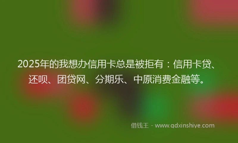2025年的我想办信用卡总是被拒有：信用卡贷、还呗、团贷网、分期乐、中原消费金融等。